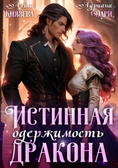 Обложка книги Истинная одержимость дракона