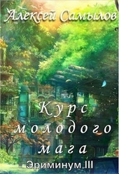 Обложка книги Курс молодого мага