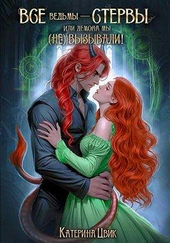 Обложка книги Все ведьмы – стервы, или Демона мы (не) вызывали