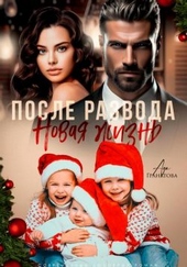 Обложка книги После развода. Новая жизнь (СИ)