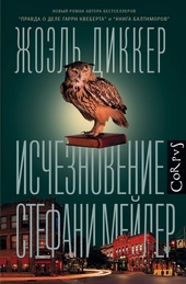 Обложка книги Исчезновение Стефани Мейлер