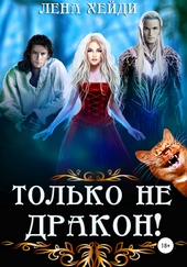 Обложка книги Только не дракон!