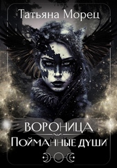 Обложка книги Вороница. Пойманные души