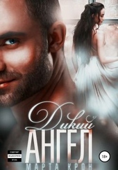 Обложка книги Дикий ангел