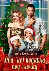 Обложка книги Два (не) подарка под ёлочку